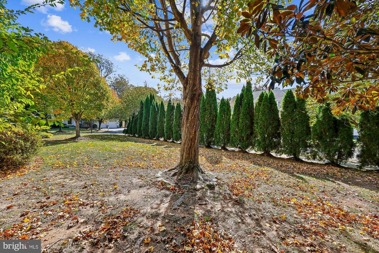 10903 Bells Ridge Drive photo 9