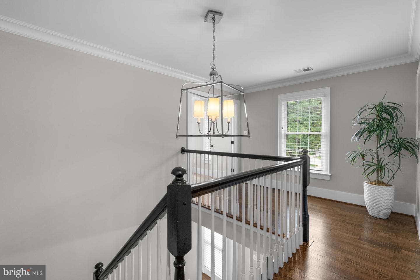 3 Jaystone Court photo 38