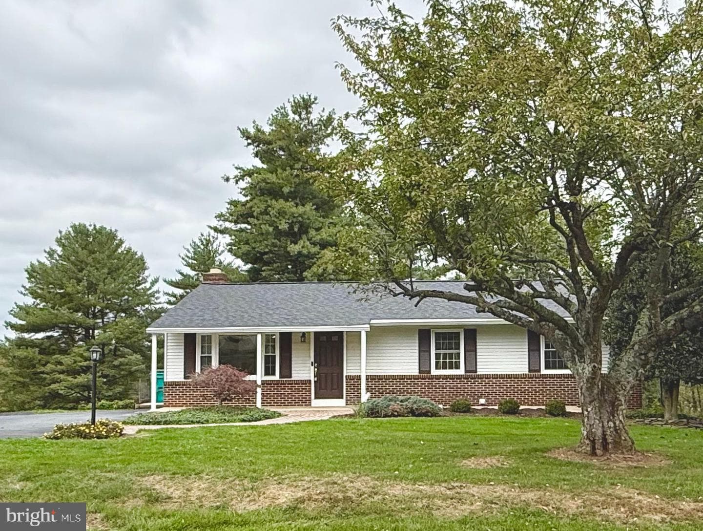 12301 Dancrest Drive photo 3