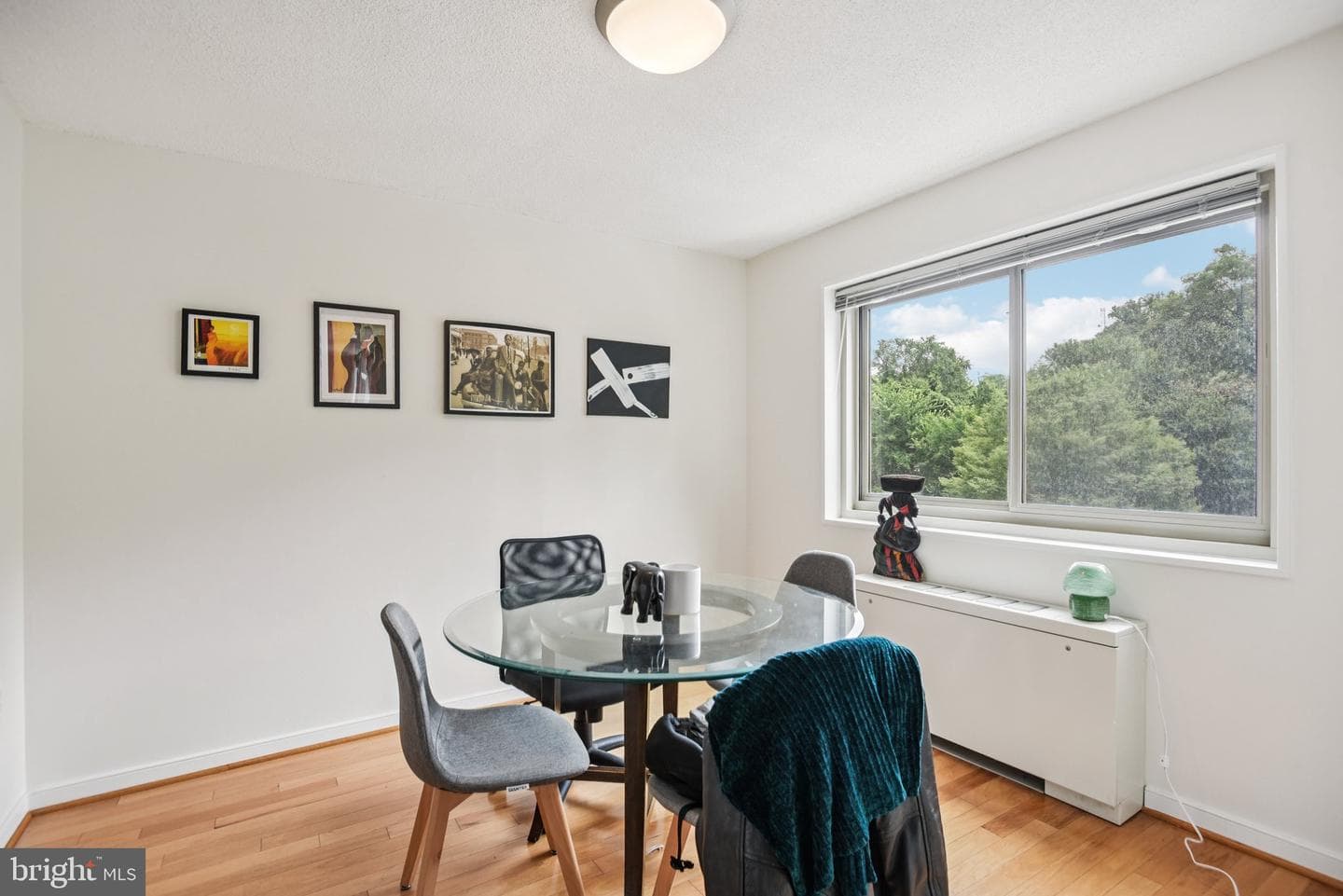 7333 New Hampshire Avenue #311 S photo 12