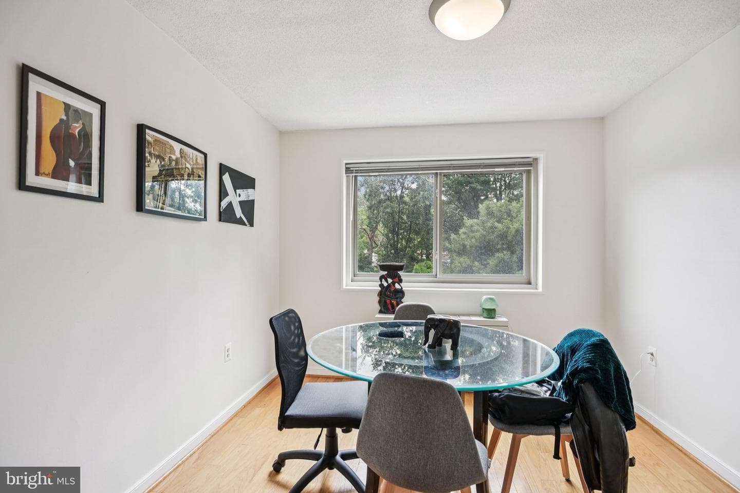 7333 New Hampshire Avenue #311 S photo 14