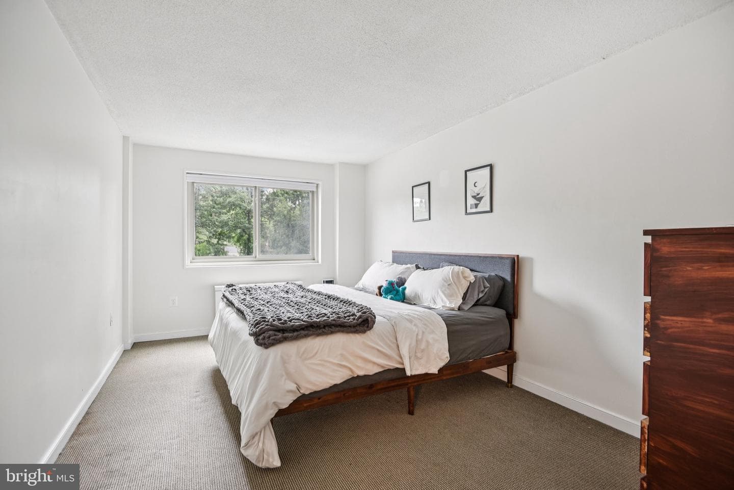 7333 New Hampshire Avenue #311 S photo 23