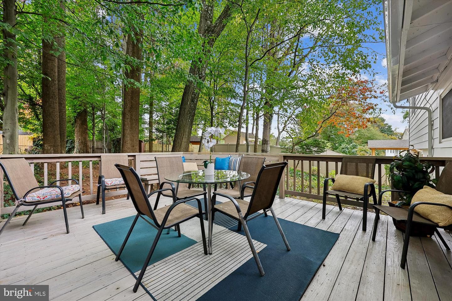14104 Bauer Drive photo 19