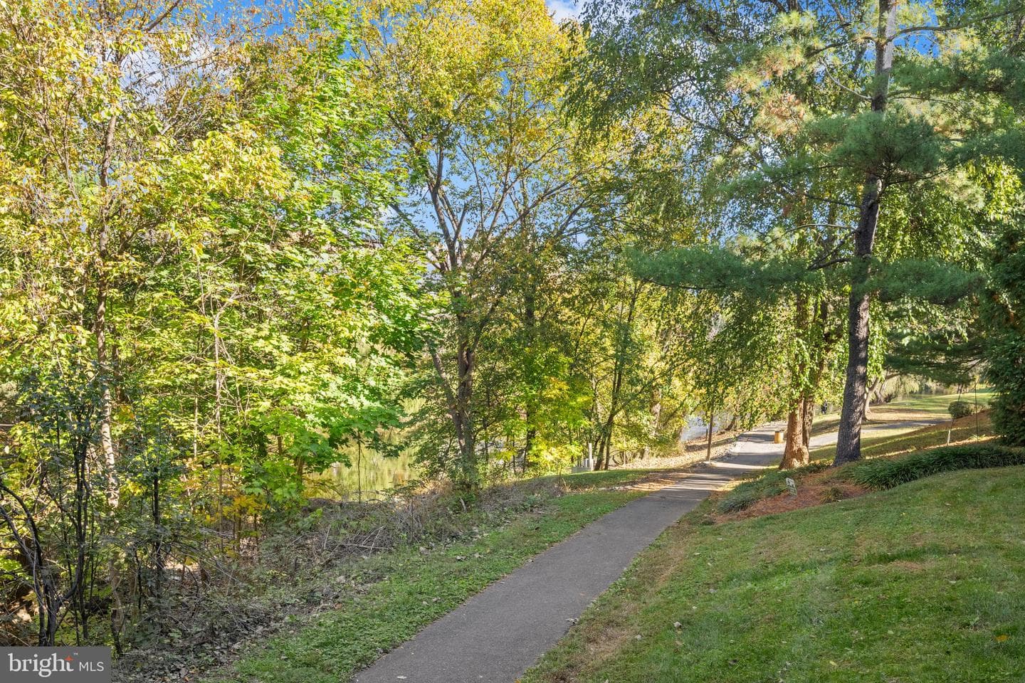 18120 Windsor Hill Drive #106a photo 21