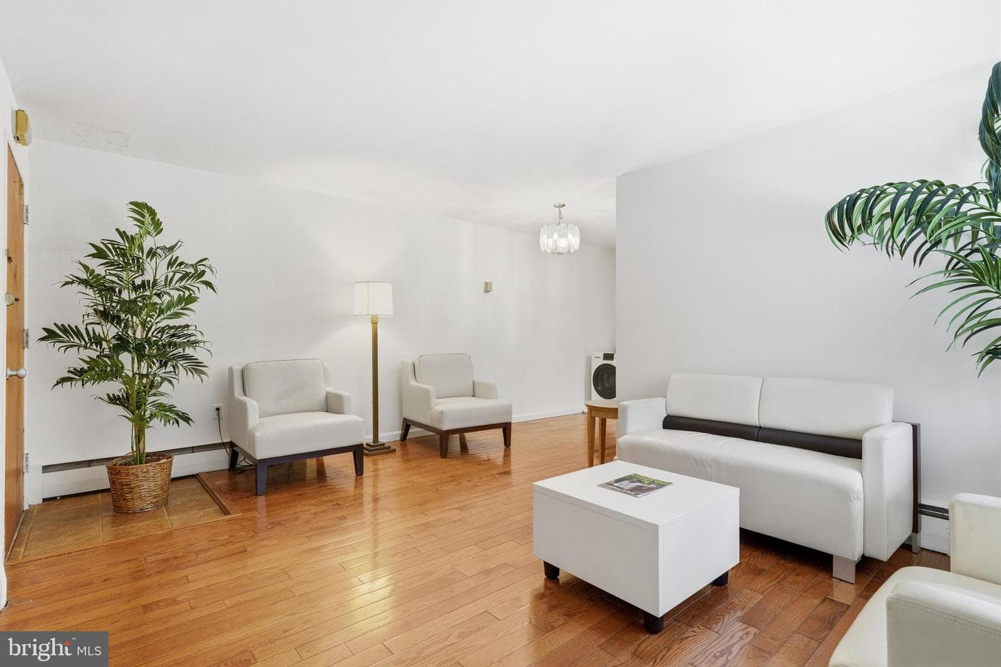 7738 Maple Avenue #6, Takoma Park