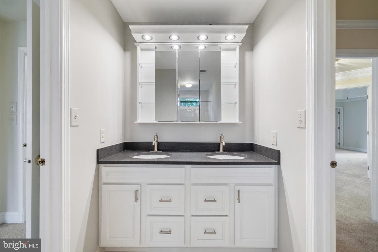 10113 Daphney House Way photo 59