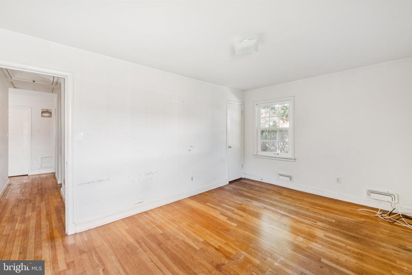 9700 Dameron Drive photo 14