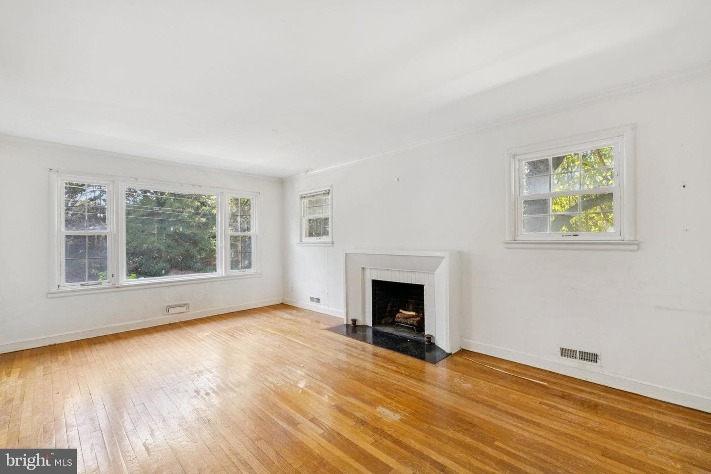 9700 Dameron Drive photo 2