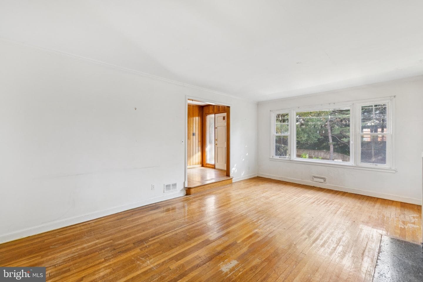 9700 Dameron Drive photo 5