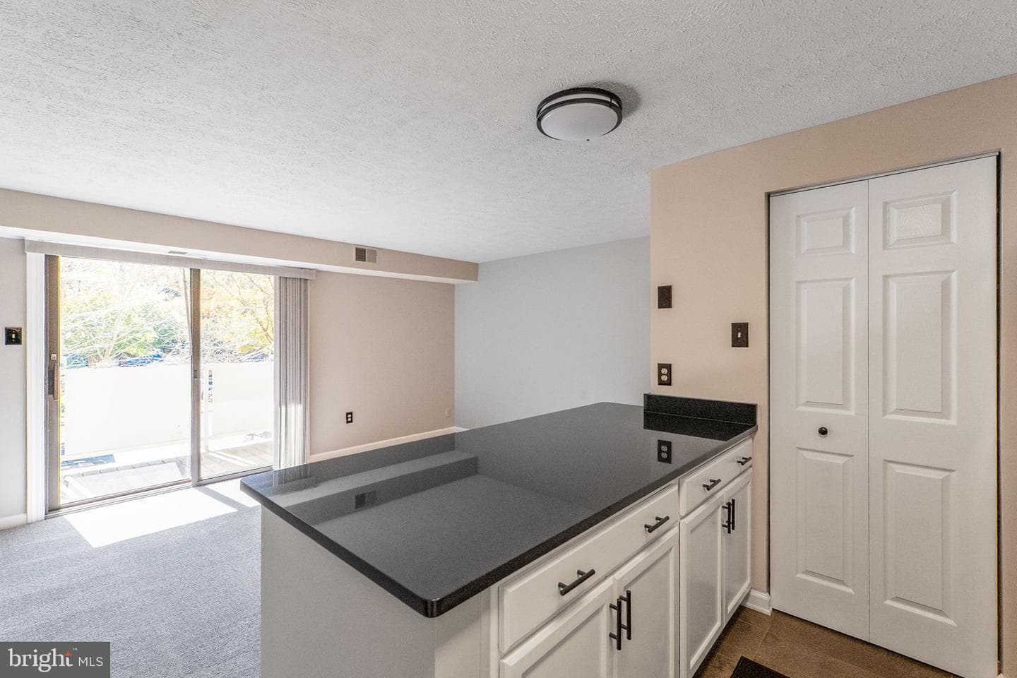 12209 Peach Crest Drive #903-H photo 12