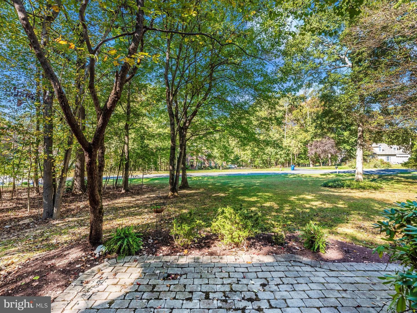 24213 Muscari Court photo 64