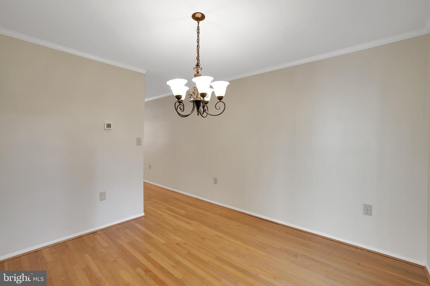 20574 Neerwinder Street photo 21