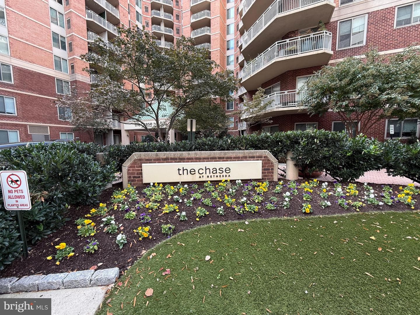 7500 Woodmont Avenue #s1204 photo 12
