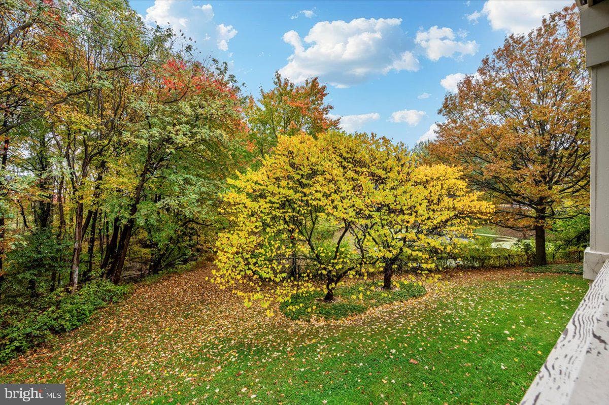 15303 Diamond Cove Terrace #8-K photo 40