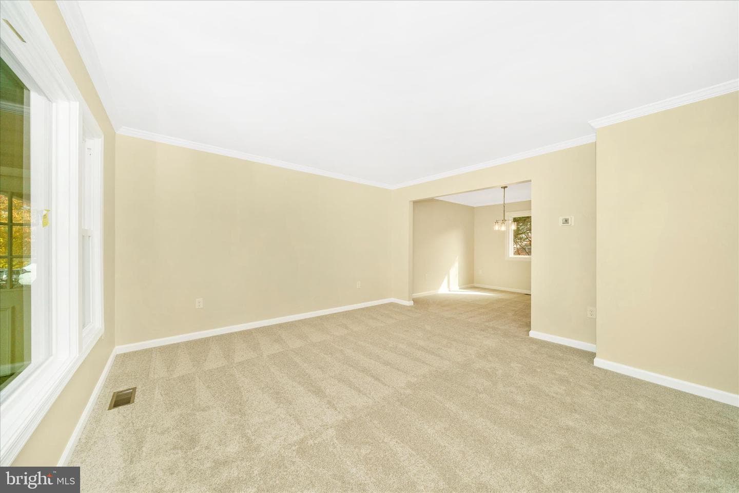 15428 Peach Leaf Drive photo 10