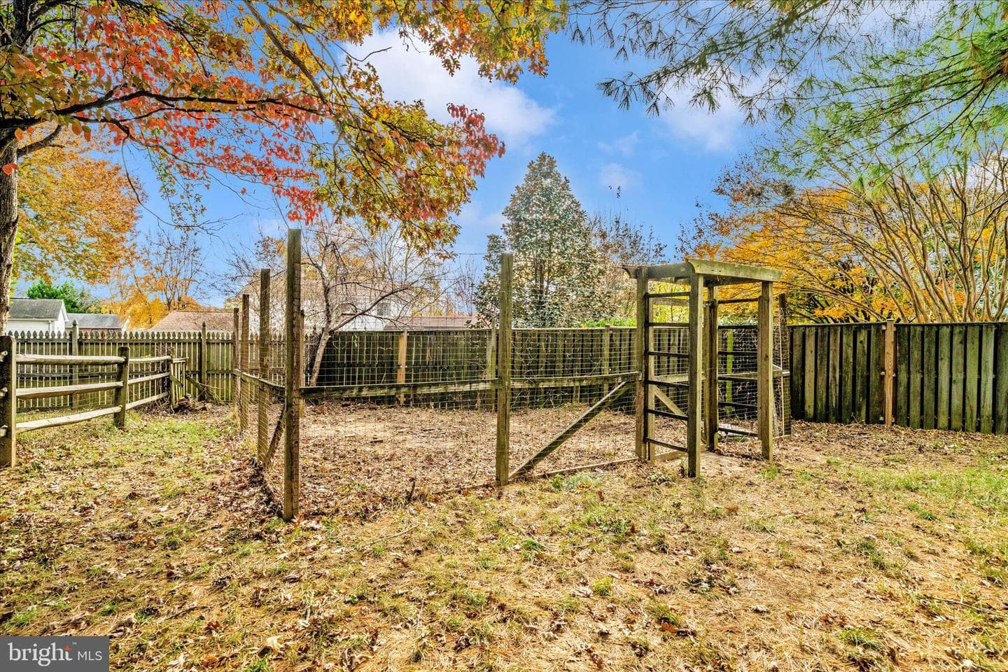 15428 Peach Leaf Drive photo 48