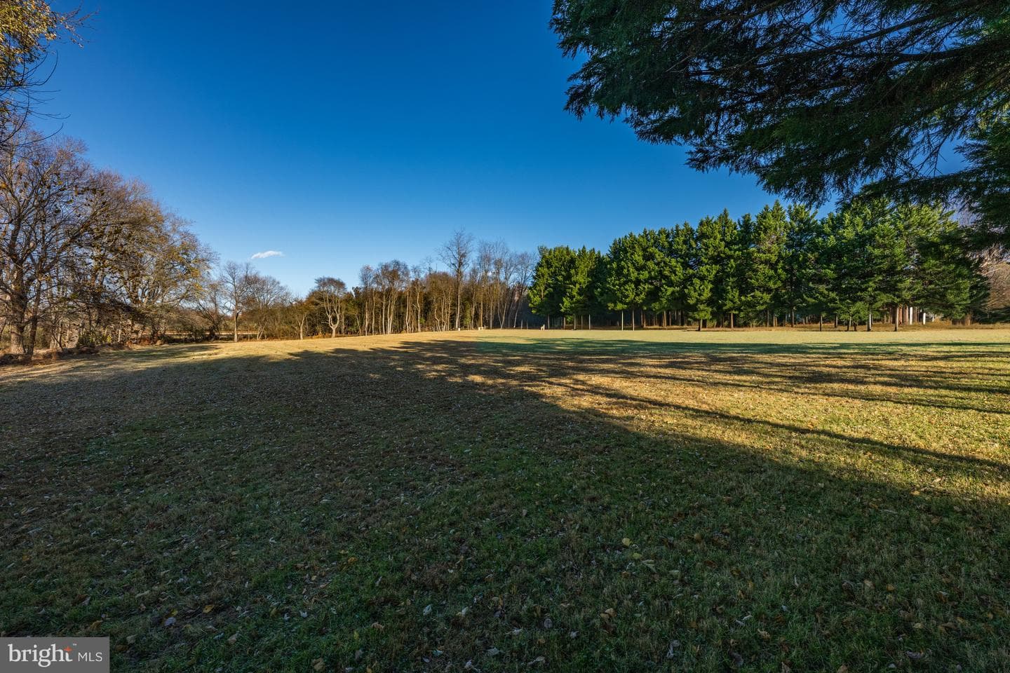 4807 Bready Road photo 42