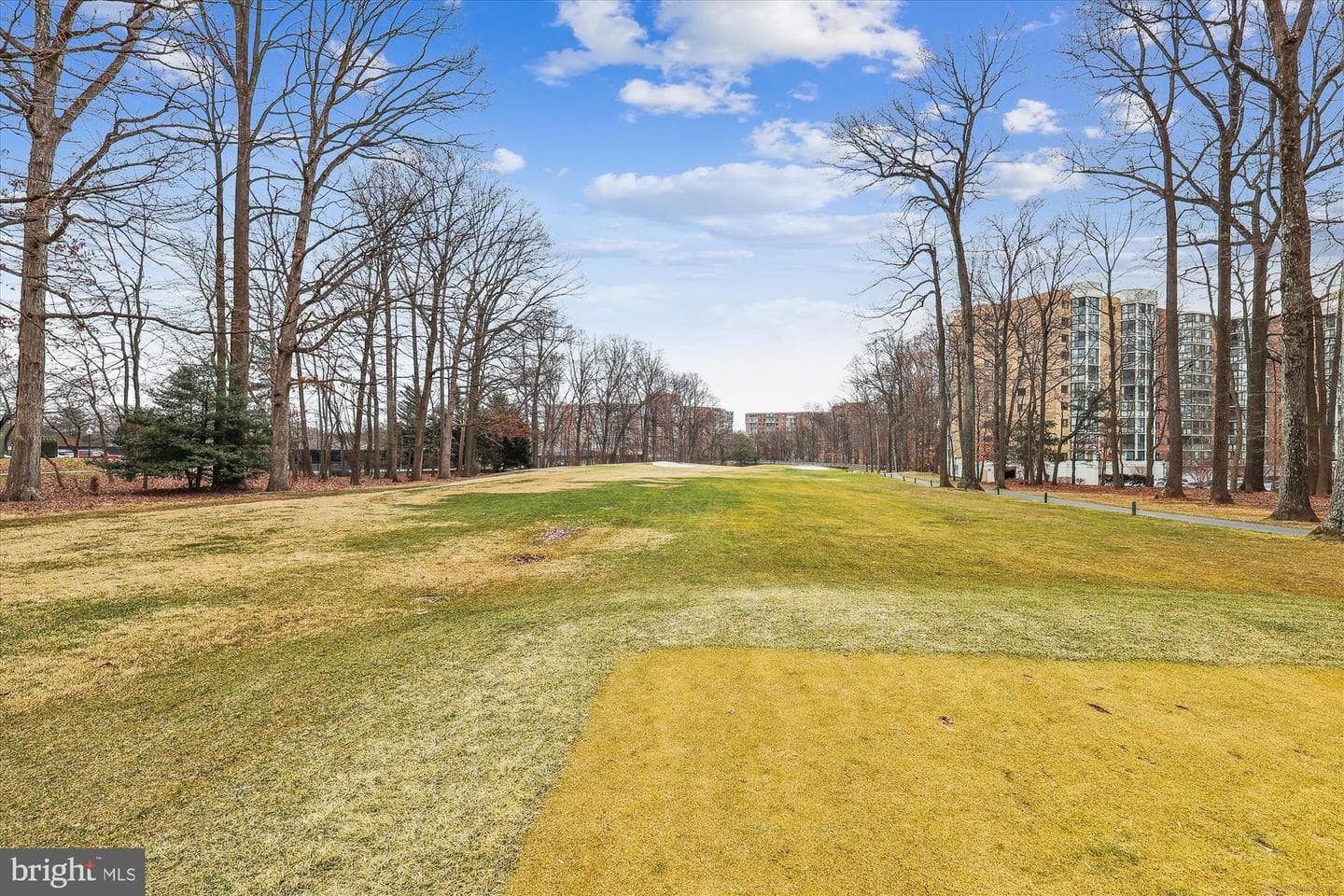3210 N Leisure World Boulevard #610 photo 94