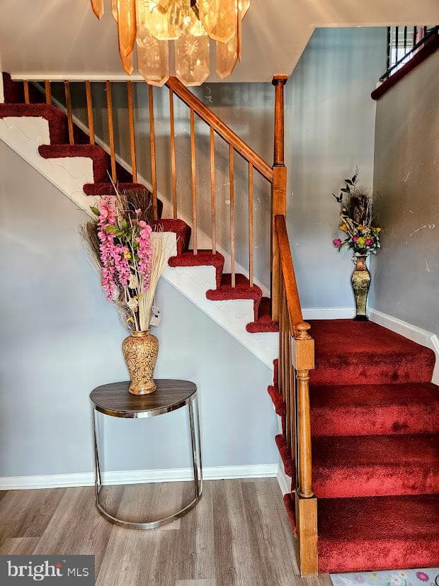 13316 Foxhall Drive photo 3