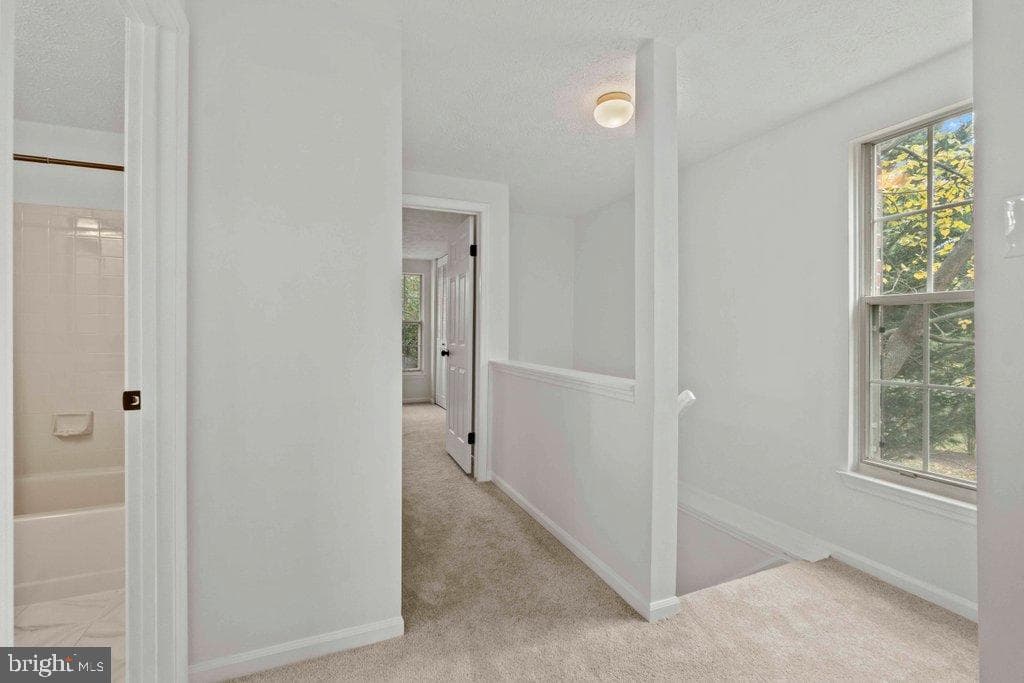 25 Capps Court photo 19