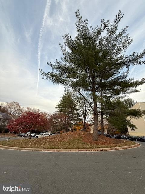 11640 Pleasant Meadow Drive photo 82