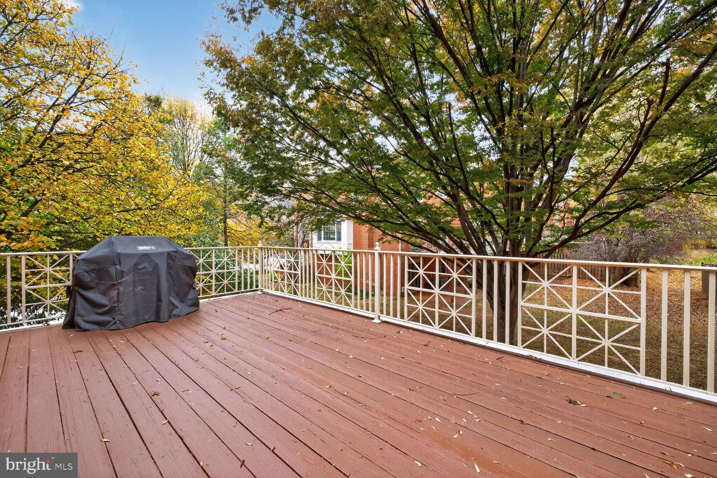 10152 Sterling Terrace photo 12