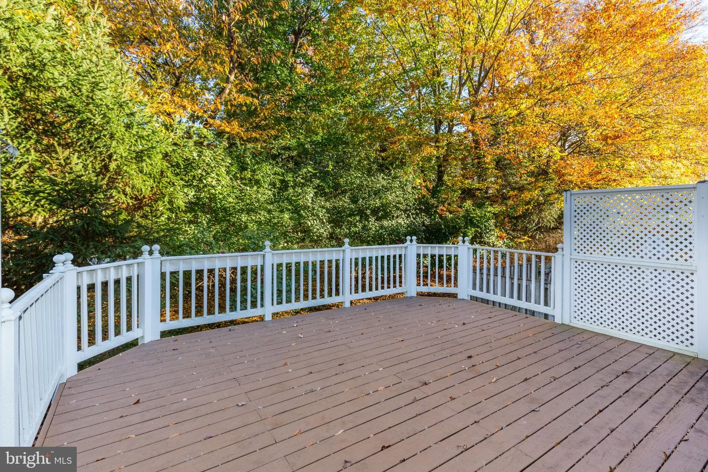 12035 Treeline Way photo 14
