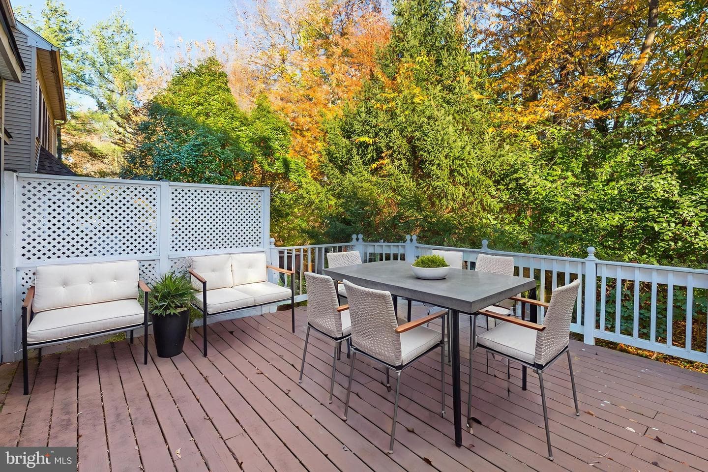 12035 Treeline Way photo 15