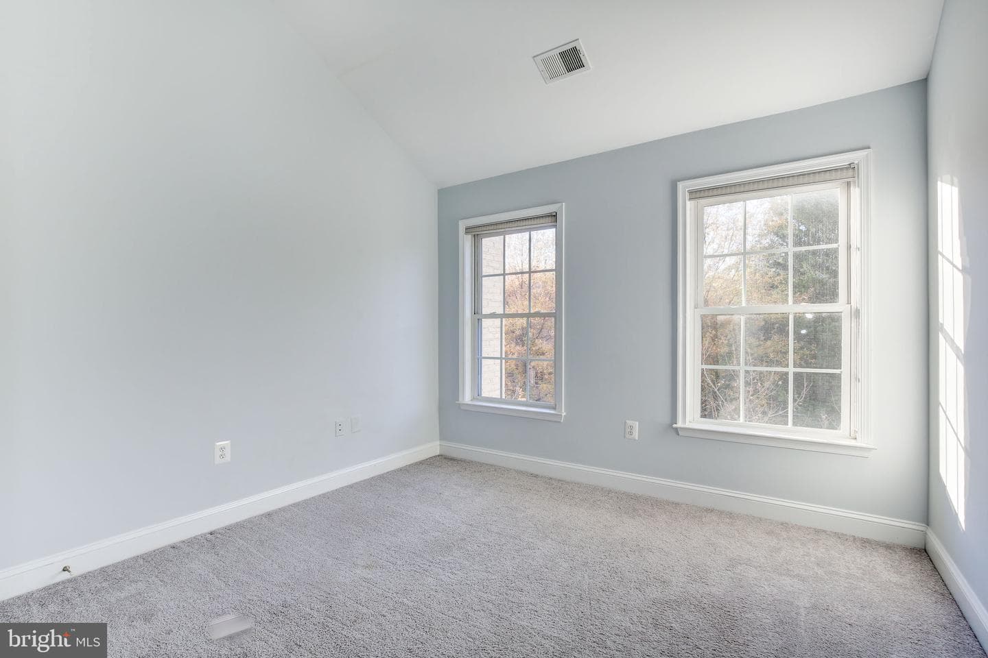 12035 Treeline Way photo 23