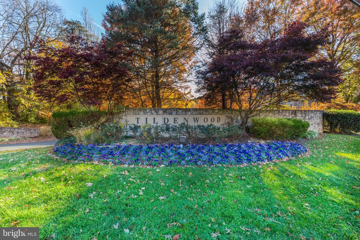 12035 Treeline Way photo 35