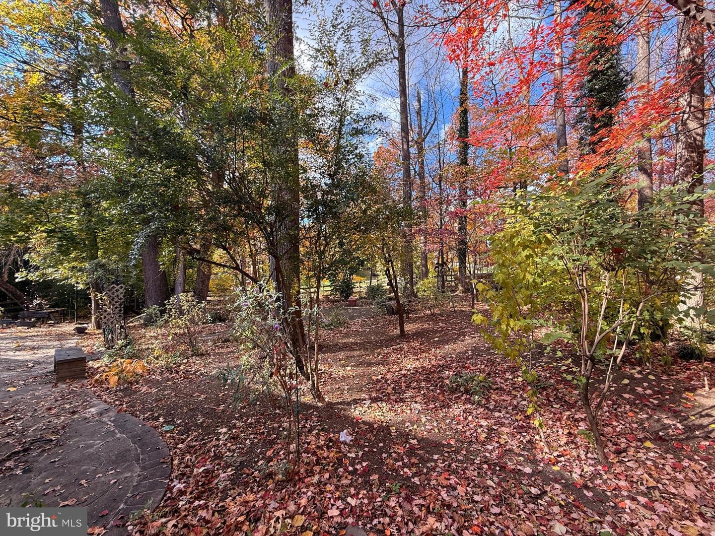 11512 Le Havre Drive photo 57