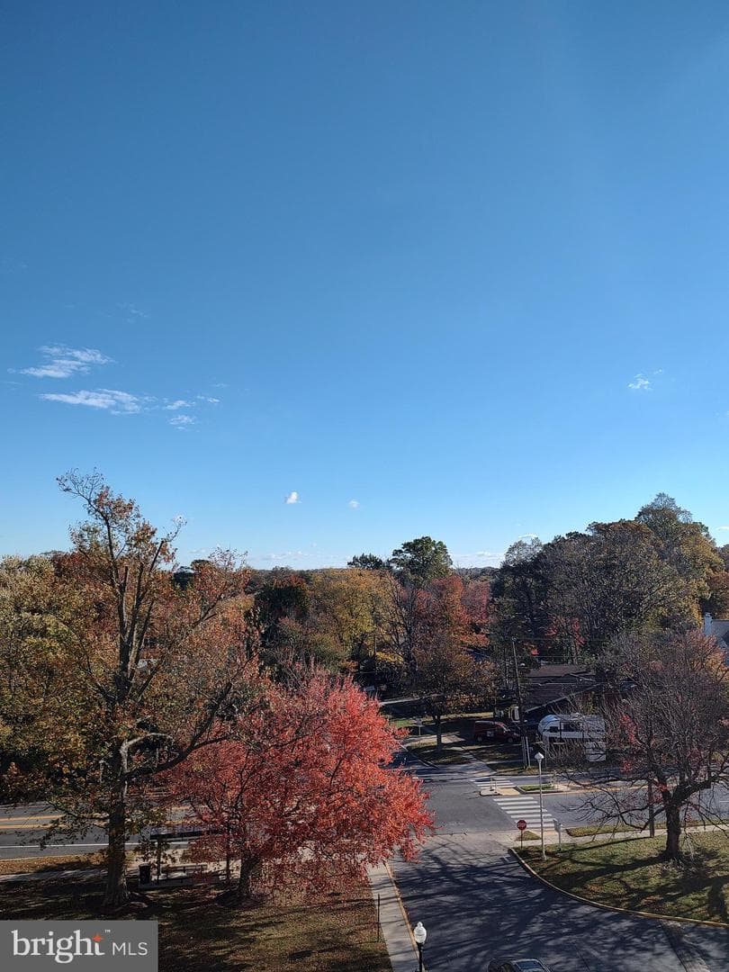 1111 University Boulevard W #719-A photo 6