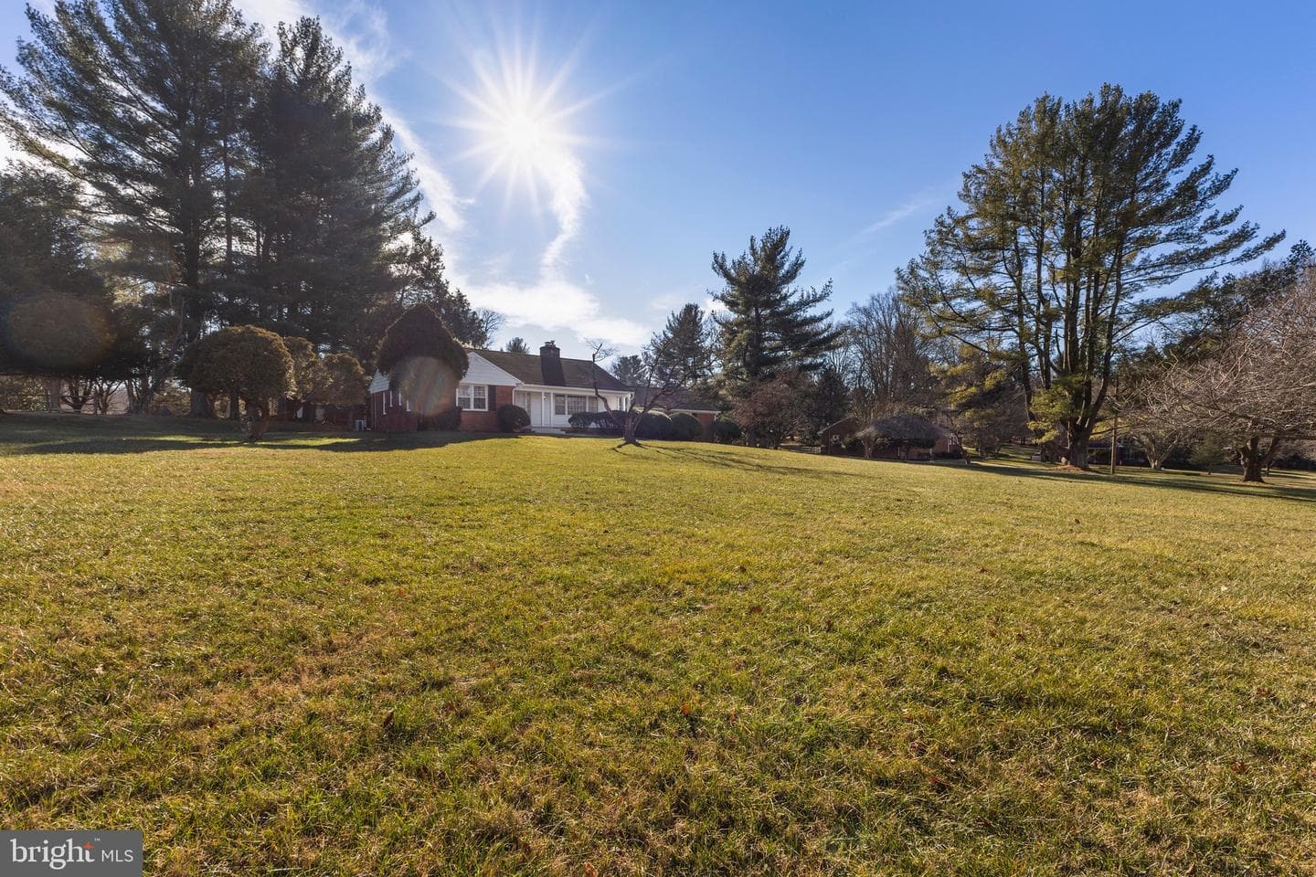 412 Vierling Drive photo 2