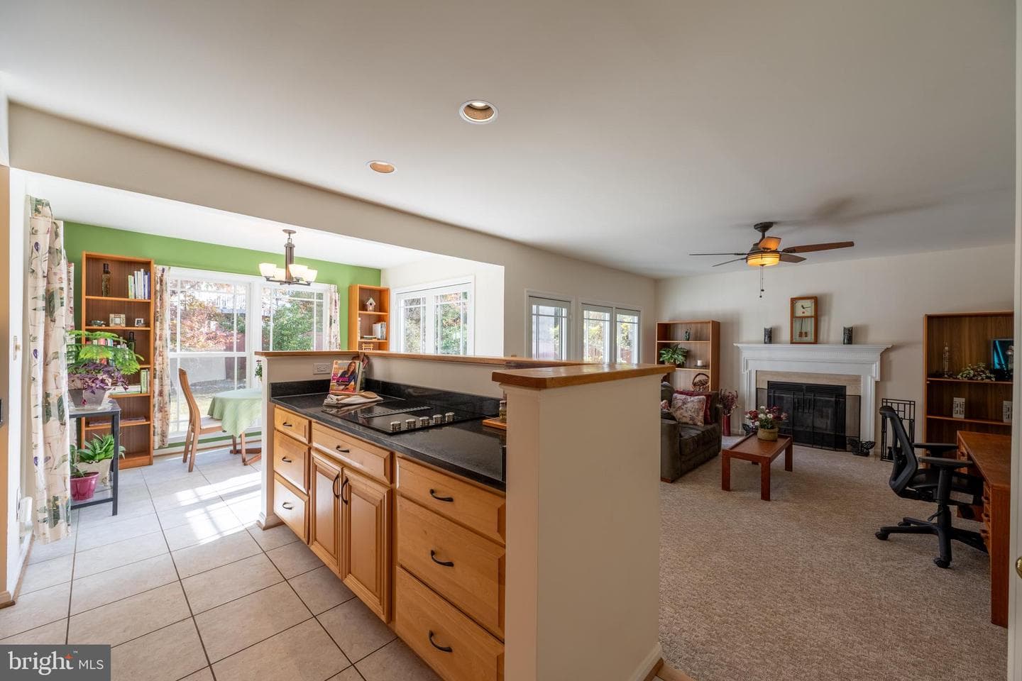 14305 Platinum Drive photo 12