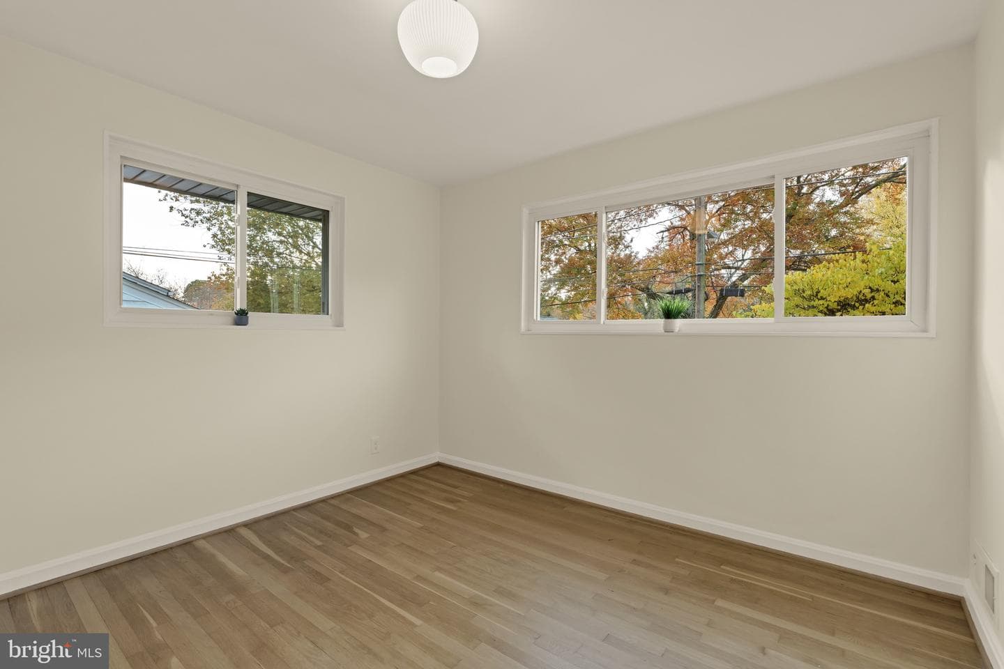 10223 Leslie Street photo 26