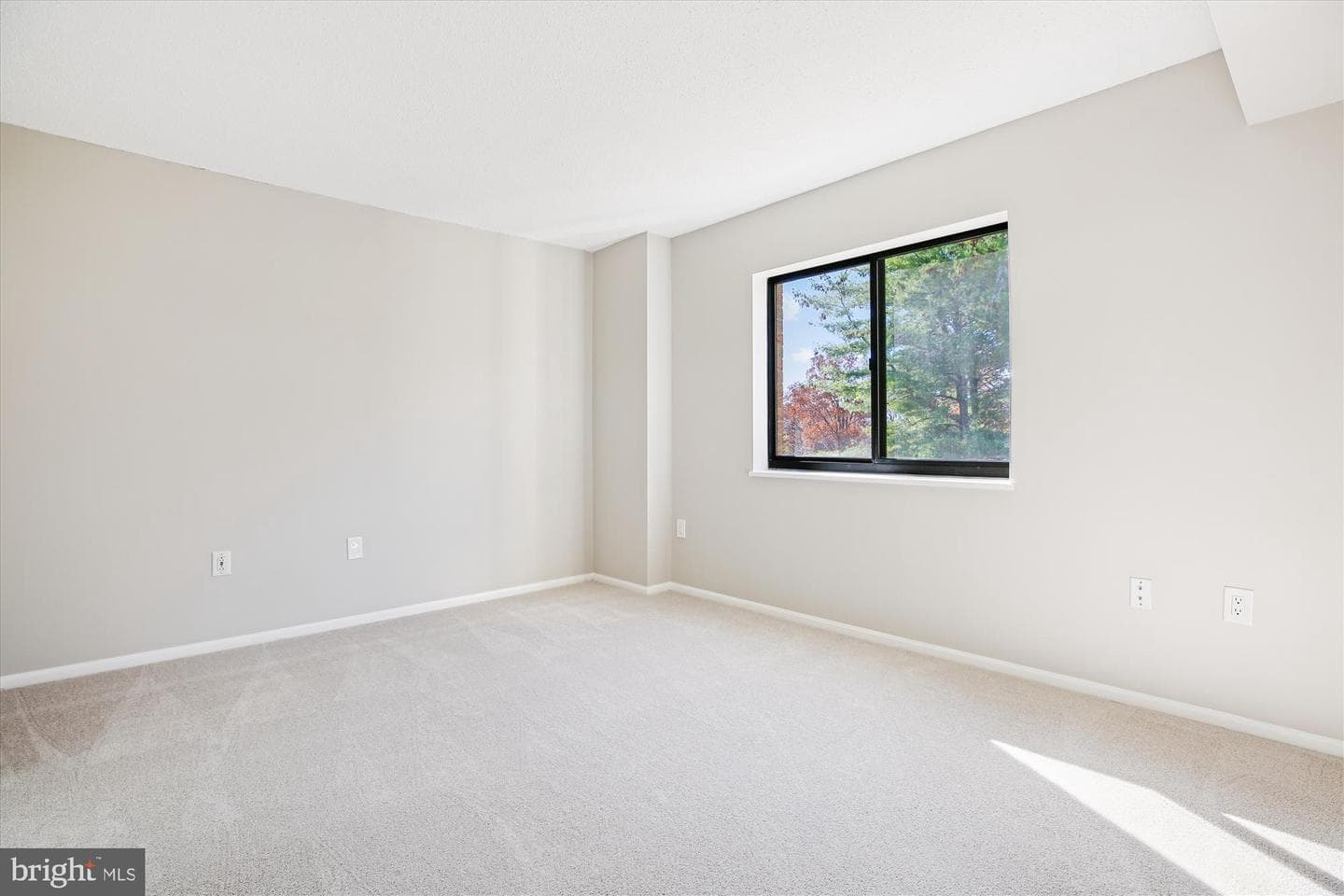 15115 Interlachen Drive #3-308 photo 17
