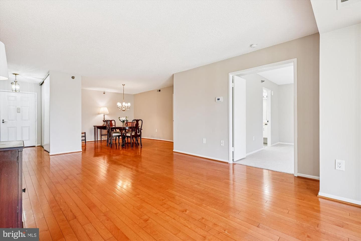 15115 Interlachen Drive #3-308 photo 5