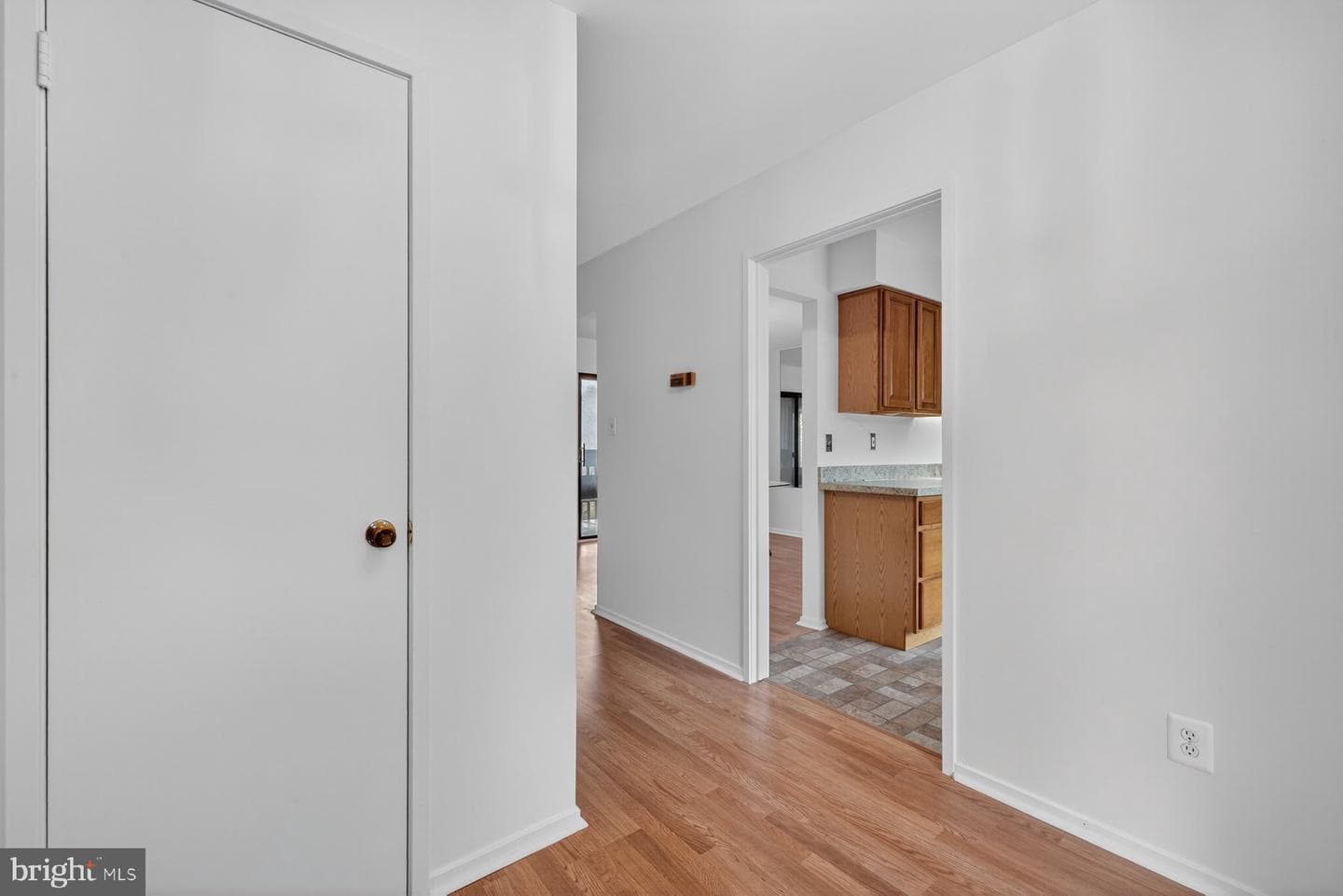 9625 Shadow Oak Drive photo 4