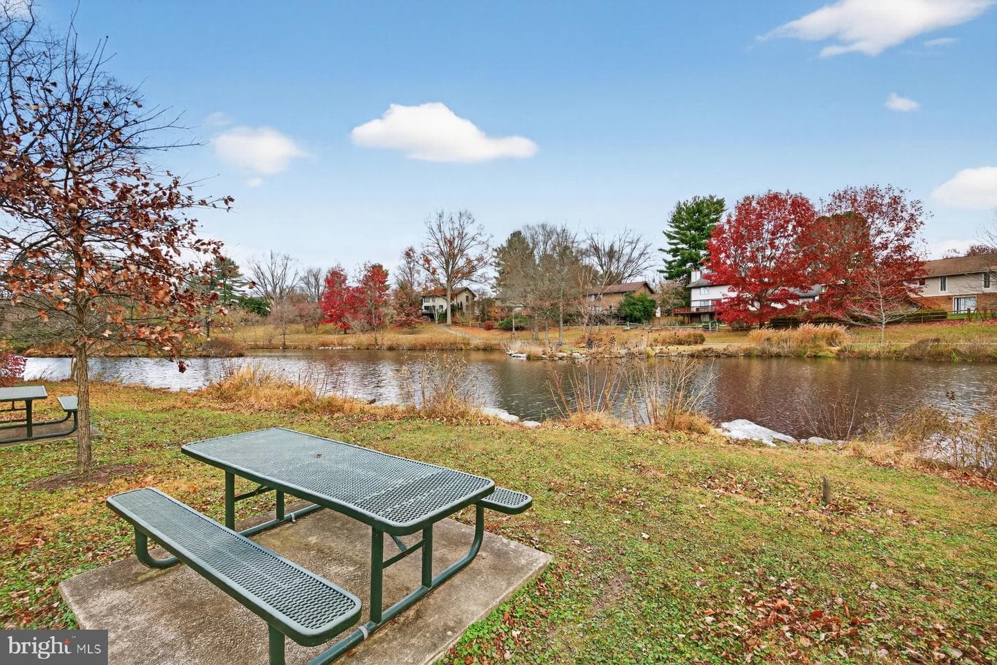 9625 Shadow Oak Drive photo 40