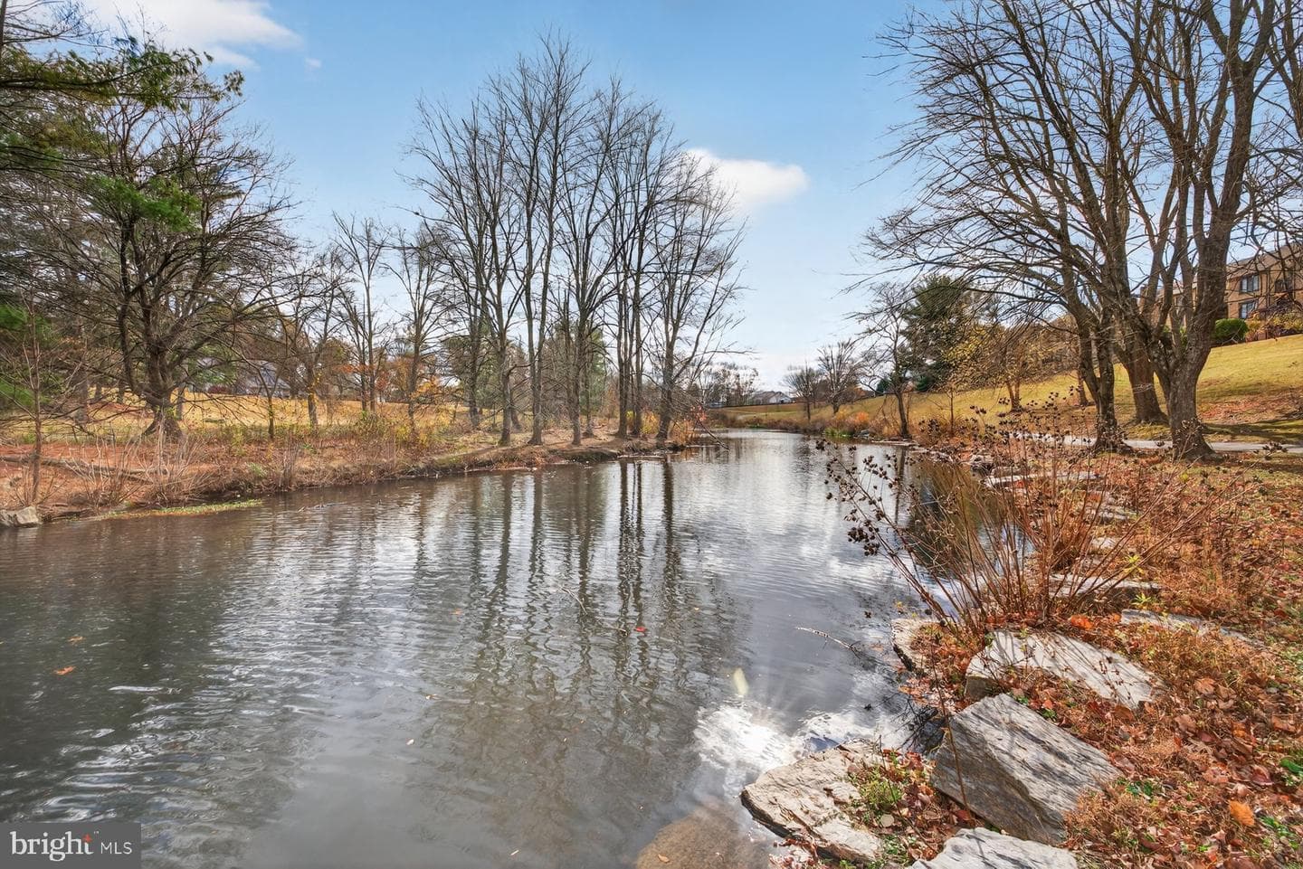 9625 Shadow Oak Drive photo 41