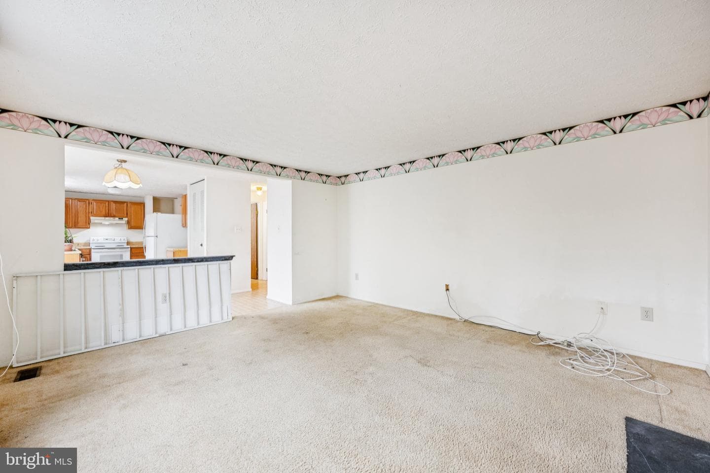 8551 Calypso Lane photo 15