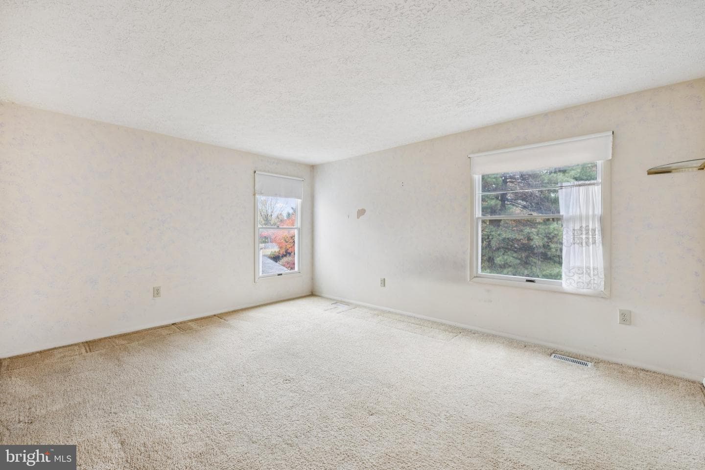 8551 Calypso Lane photo 24
