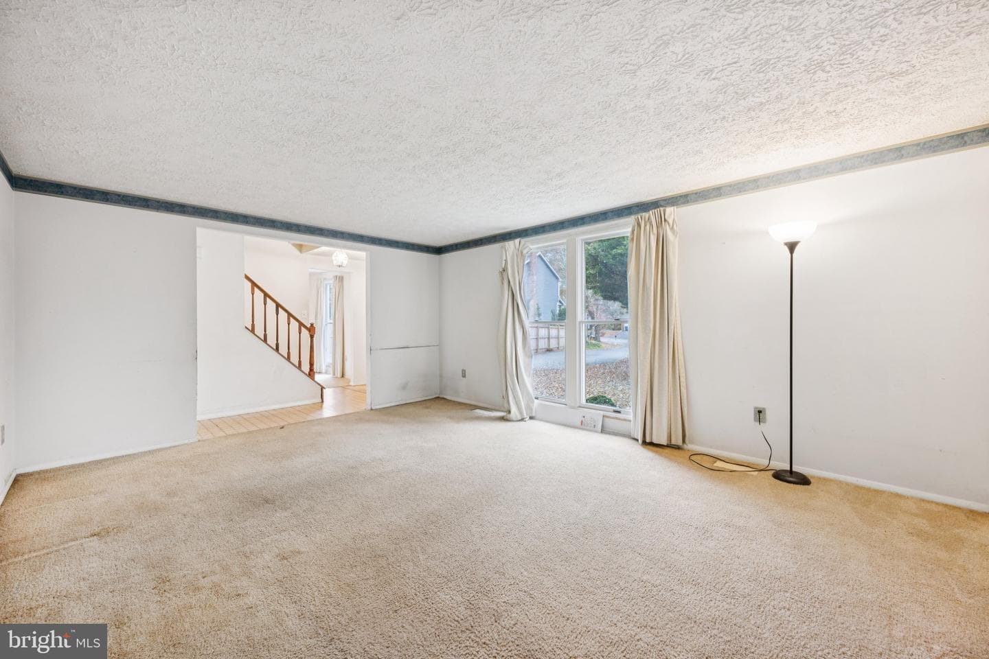 8551 Calypso Lane photo 5