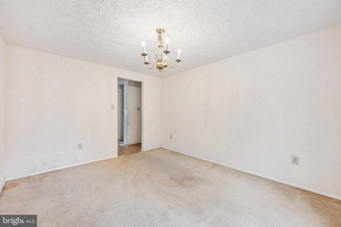8551 Calypso Lane photo 8