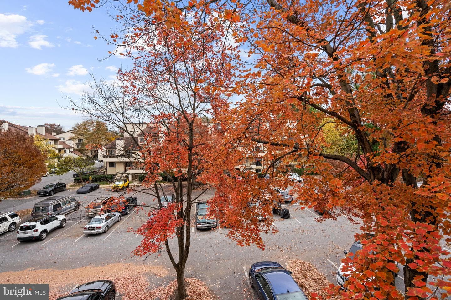 18422 Bishopstone Court #313 photo 41
