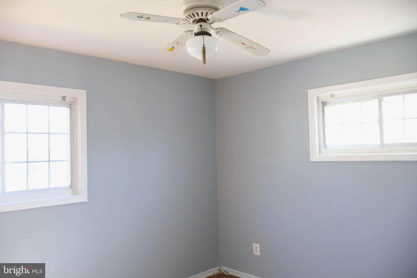 106 Hutton Street photo 11