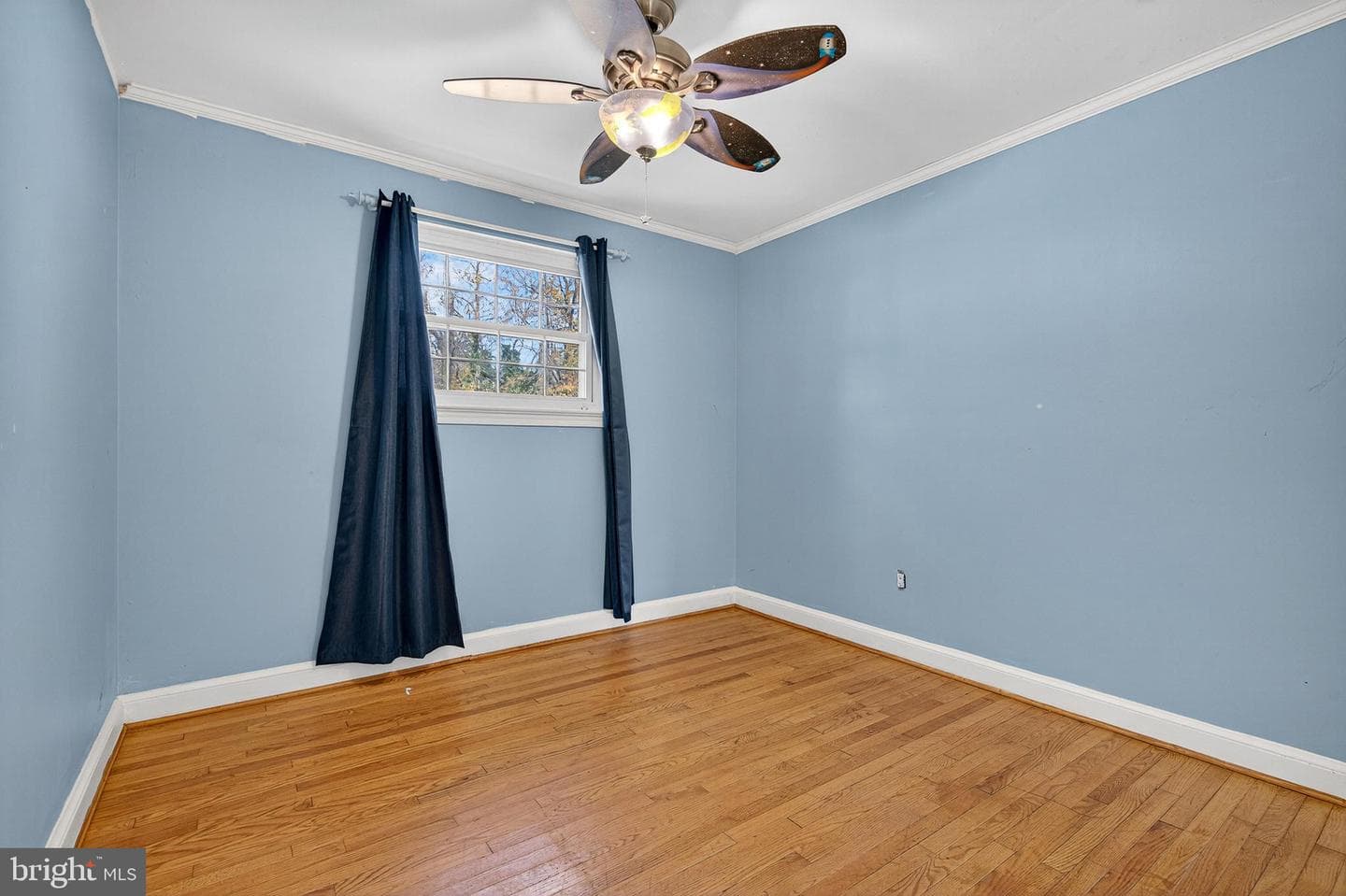 7 Shaw Avenue photo 14