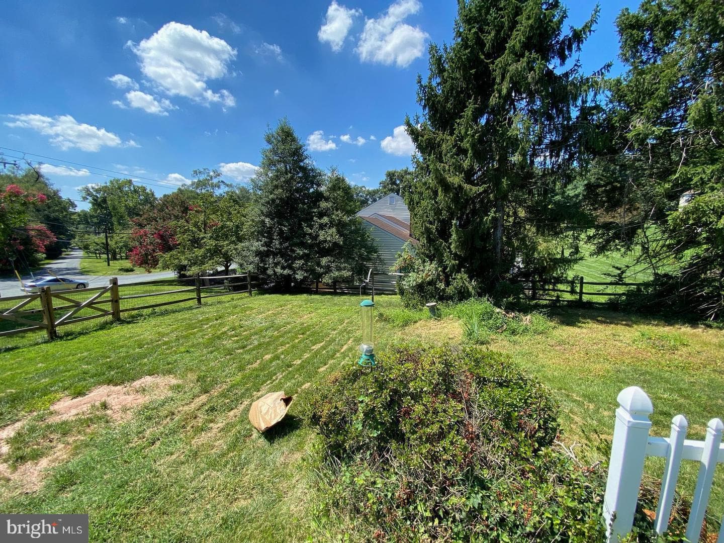 7 Shaw Avenue photo 22