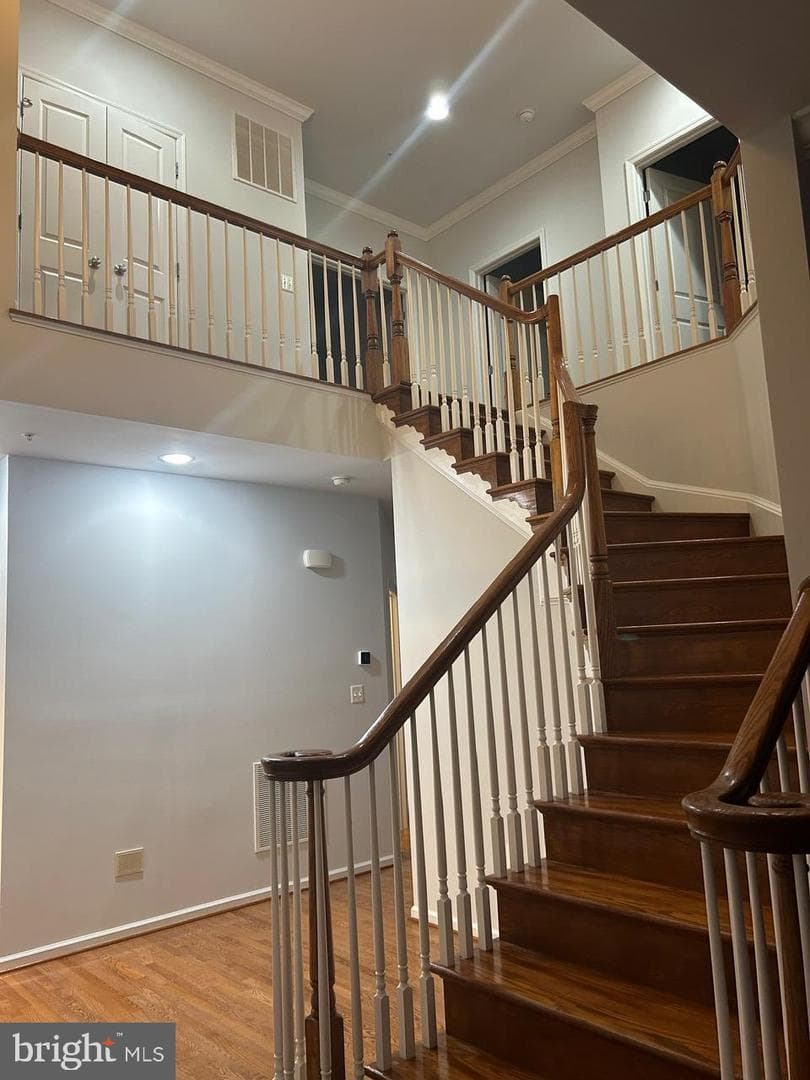 1101 Verbena Court photo 17