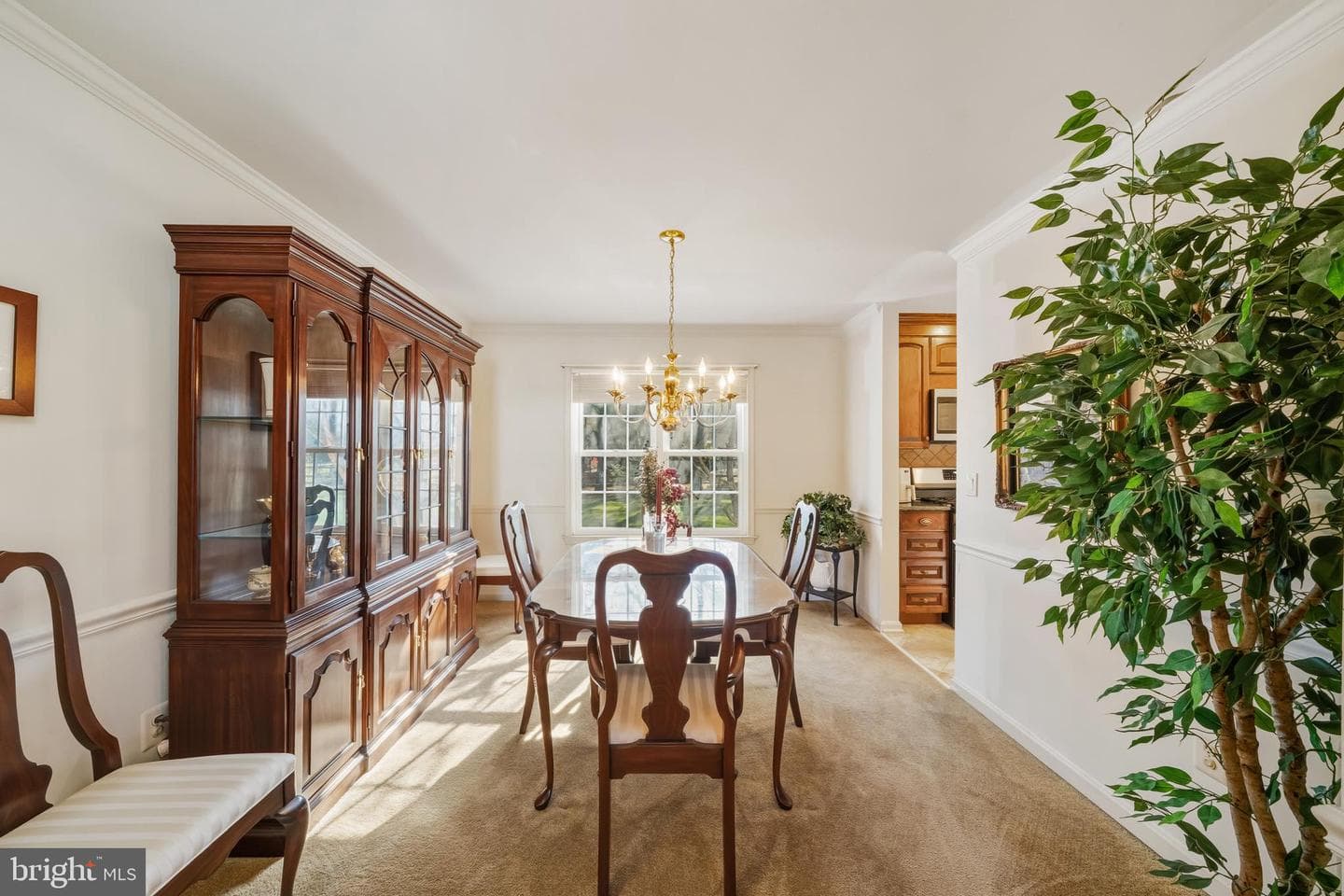 20 Allenhurst Court photo 24